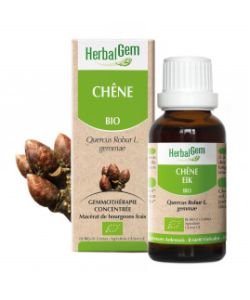 Chêne (Quercus robur) bourgeon BIO, 15 ml